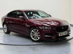 JAGUAR XF at SELECT CARS & COMMERCIALS Luton